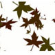 A tutorial website with a holiday theme.